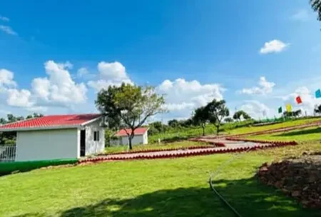 creek resort